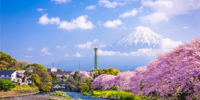 1134x772 Amazon.com : CSFOTO 5x3ft Background for Mount Fuji Spring