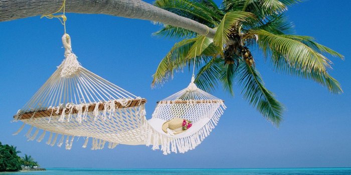 1146x786 Adventures in Fitness Friday – Spring Break Edition | Bella on the