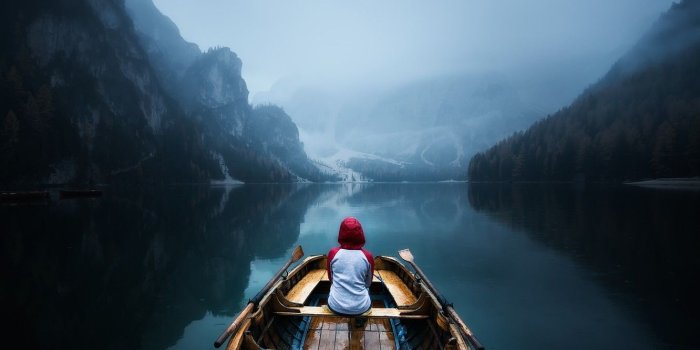 1332x850 Wallpaper relax, forest, peace, rain, photography, trees