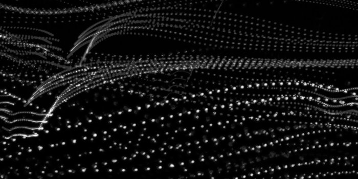 1242x2208 vn81-dots-light-party-bw-dark-pattern