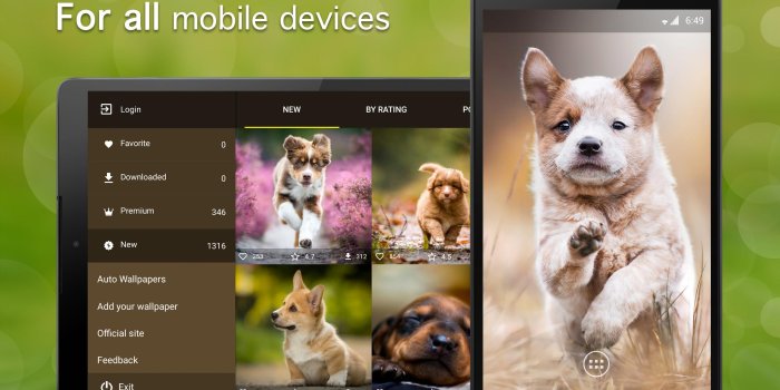 2400x1500 Puppy Wallpapers 4K for Android - APK Download