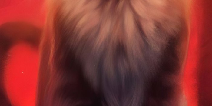 1242x2688 1242x2688 Warrior Cat 4k Iphone XS MAX HD 4k Wallpapers, Images