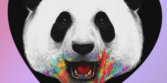 720x1280 Panda wallpaper by Lovely_nature_27 - c2 - Free on ZEDGE™