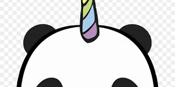 840x956 Cute Panda Pandacorn Unicorn Rainbow Black White Colors - Panda