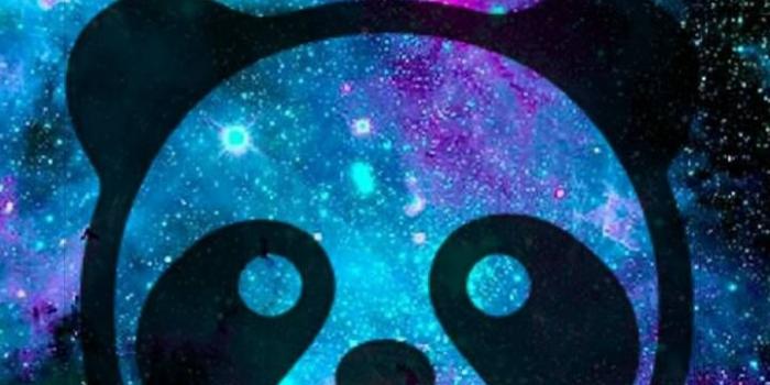 720x1280 Panda Song Wallpaper - Picserio.com