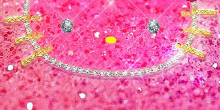 720x1280 50+] Hellokitty Wallpapers on WallpaperSafari