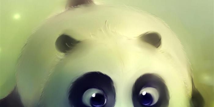 1080x1920 Cute Panda Bubble Android Wallpaper free download