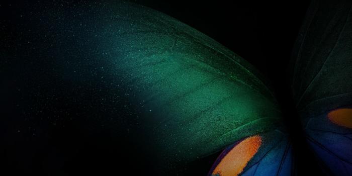 1440x2560 Download Samsung Galaxy Fold, butterfly, green blue-black