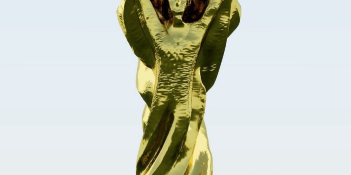 938x1668 Download wallpaper 938x1668 goblet, fifa world cup, football