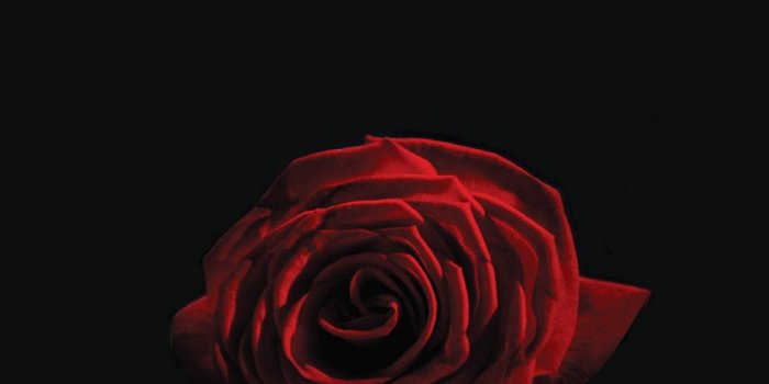 1152x864 Gena Koch: v for vendetta wallpaper