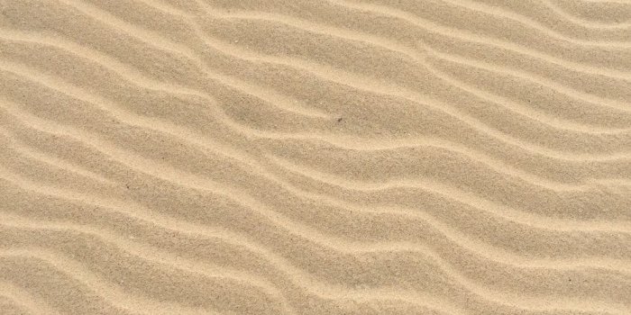 1000x1333 500+ Sand Pictures [HD] | Download Free Images on Unsplash