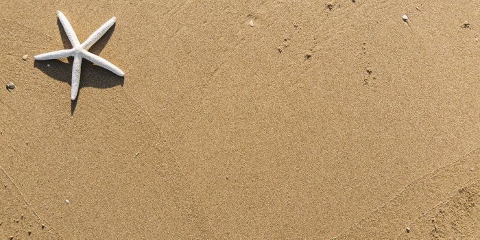 1920x1281 Amazing Beach Sand Wallpapers HD Free Download