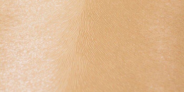 1024x1024 Fur Sand Wallpaper | Graham & Brown