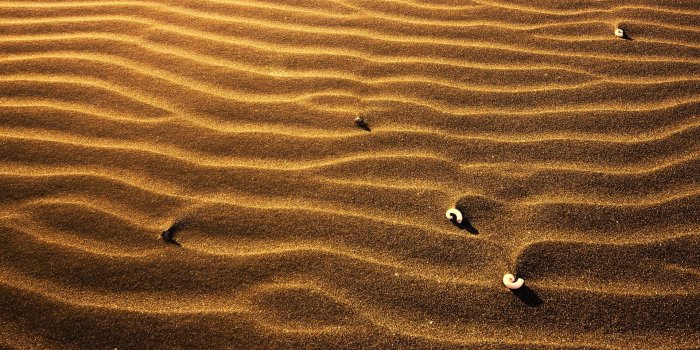 1920x1080 Daily Wallpaper: Sand | I Like To Waste My Time