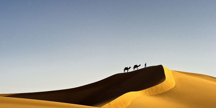 1191x757 Sahara Sand Dunes - Wallpaper — John van Helvert Photography