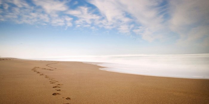 2560x1600 Footprints In The Sand Wallpapers