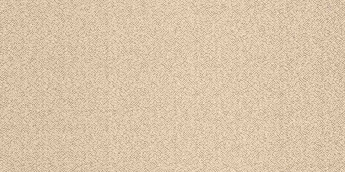 1000x1000 Decorline Vision Lupus Texture Wallpaper Sand (DL22841
