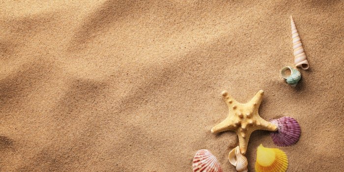4562x3042 shells, sand, starfish, beach :: Wallpapers