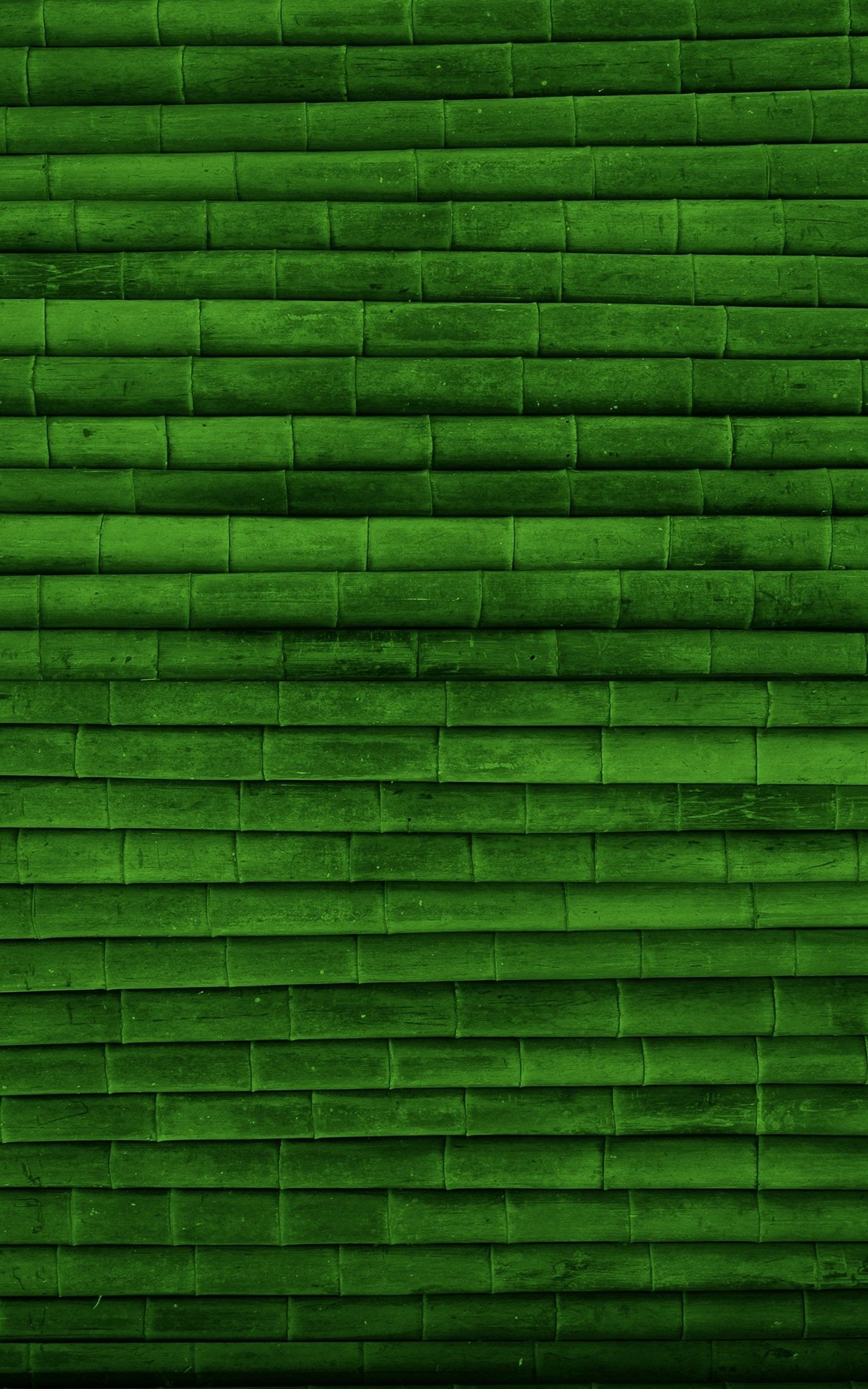 1600x2560 61+ Green Color