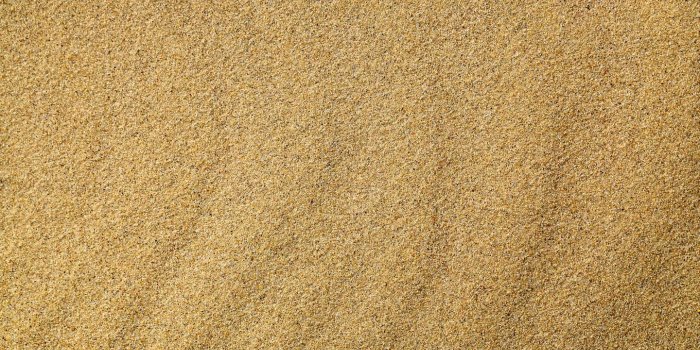 1440x900 Free download the sand you walked with me footprints in the sand