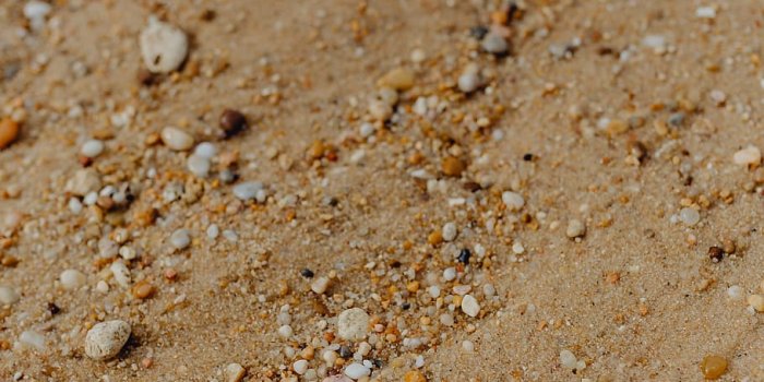 910x1365 HD wallpaper: Sand beach background with sea shells & pebbles