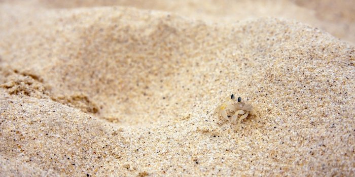 1920x1080 Beach Sand wallpaper | 1920x1080 | #75432