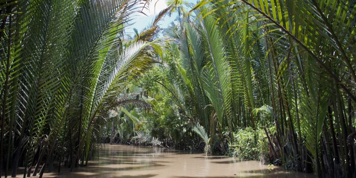 3840x2160 vietnam 4K wallpapers for your desktop or mobile screen free and