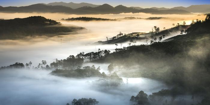3840x2160 Vietnam Landscape, Forest, Dense Fog Ultra HD Desktop Background