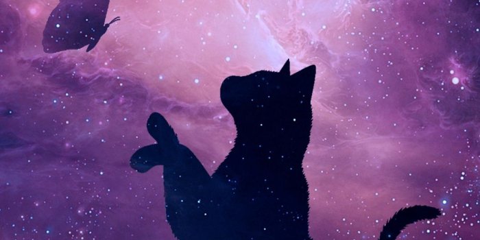 1080x1920 Black cat, Purple, Violet, Sky, Celestial event, Illustration in
