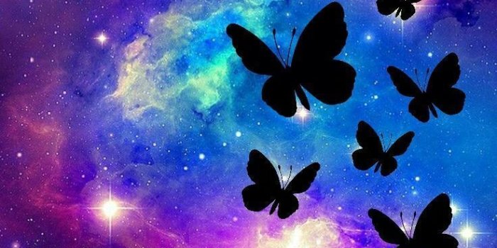 736x1306 Pin on iphone 11 wallpaper