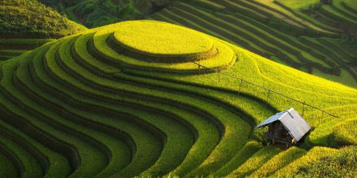 4096x2160 green farm vietnam 4k ultra hd wallpaper » High quality walls