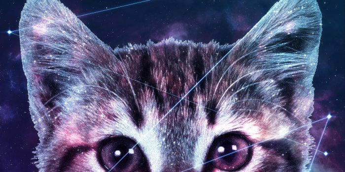 3840x2160 Galaxy Cat HD wallpaper download