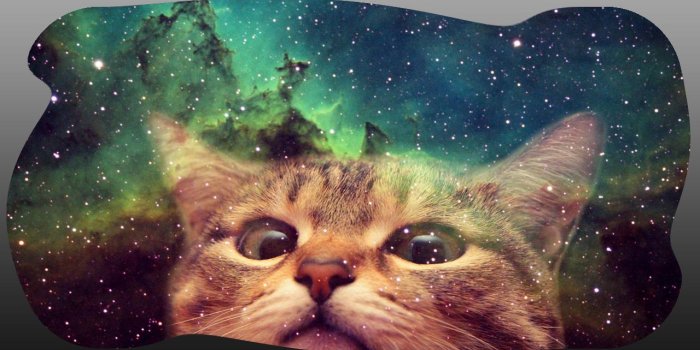 1280x720 Cat Galaxy Wallpaper for Android - APK Download