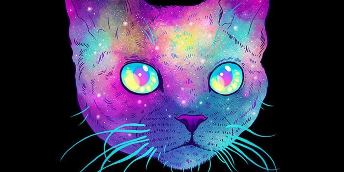 1080x1920 Galaxy Cat Wallpaper (69+ images)