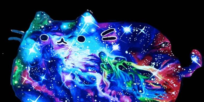 839x1280 Galaxy cat wallpaper by Loche104 - fc - Free on ZEDGE™