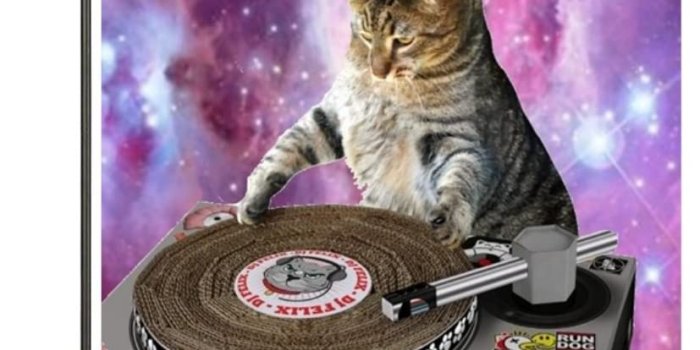 827x1390 Amazon.com : XASFF Galaxy Cat Wallpaper Garden Flag Decorative