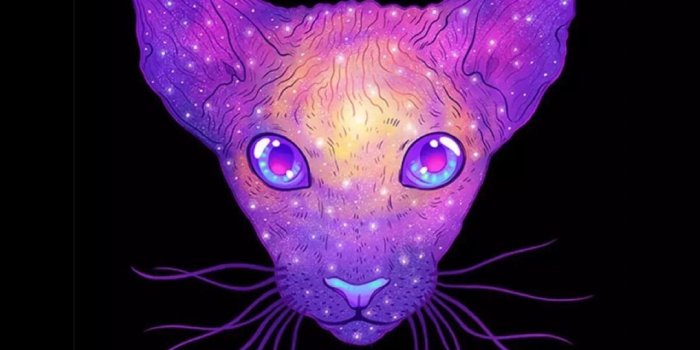 1082x1920 Iphone Background Arka Planlar Galaxy Cat - Iphone 6 Cat (#1069337