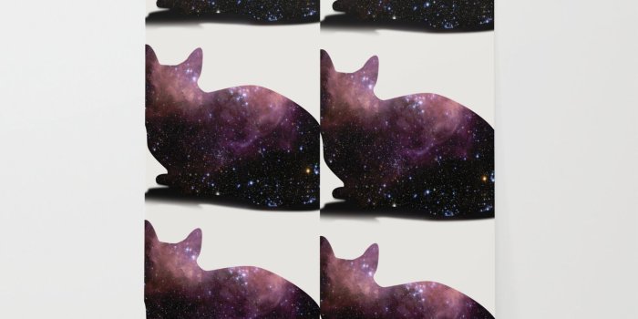 1500x1500 Willow the Galaxy Cat! Wallpaper by allisone | Society6