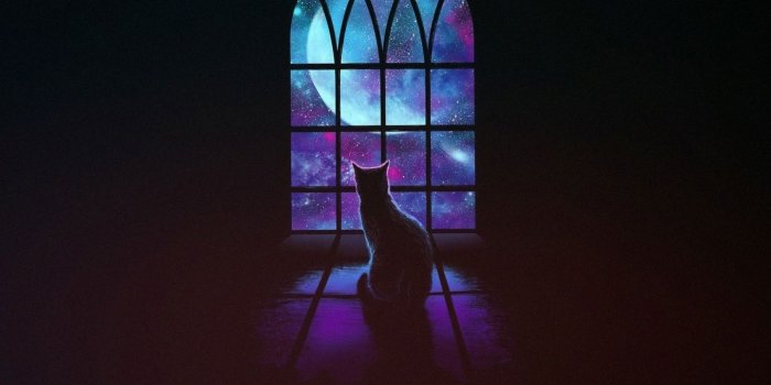 1440x2630 Download 1440x2630 wallpaper window, moon and cat, minimal