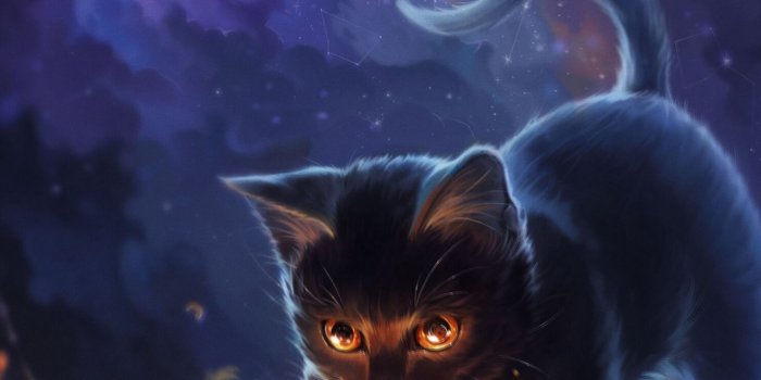 1440x2560 Download wallpaper 1440x2560 cat, talisman, dreamcatcher, feathers
