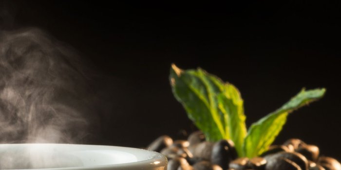 1440x2960 Download 1440x2960 wallpaper black coffee, beans, leaf, cup