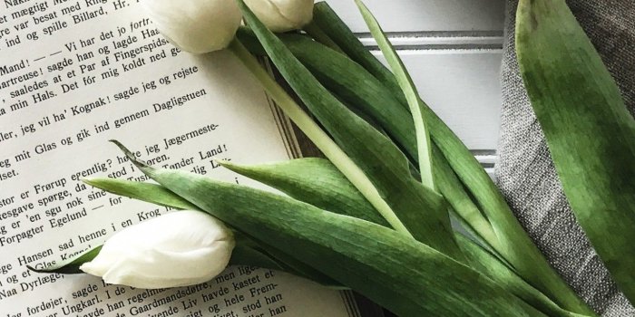 1440x2560 Book Tulips Coffee Wallpaper - Coffee And Books Wallpaper Hd