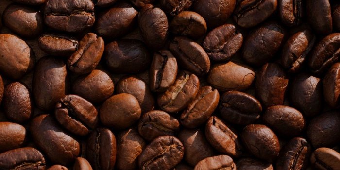 1440x2960 Download 1440x2960 wallpaper beverage, coffee beans, roasted