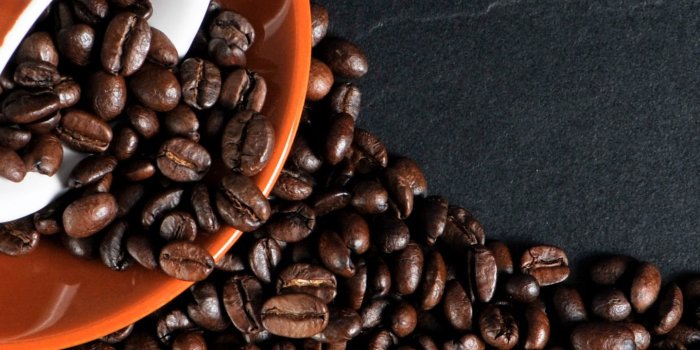 1440x2302 Download 1440x2960 wallpaper coffee beans, cup, samsung galaxy s8