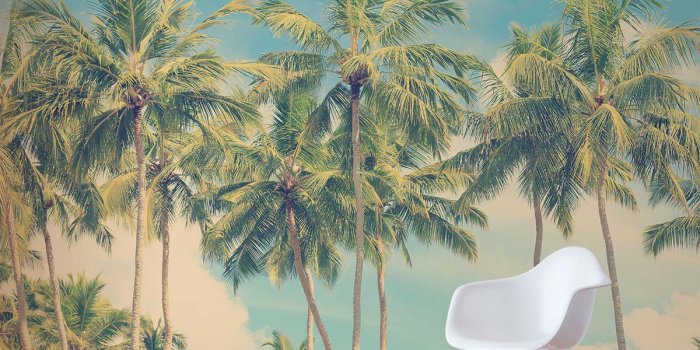 1200x1200 Vintage Palm Tree Wall Mural | Vintage Palm Wall Decal