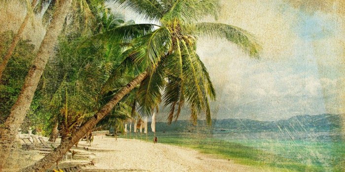 1332x850 Wallpaper sea, palm trees, people, coast, vintage, vintage, old