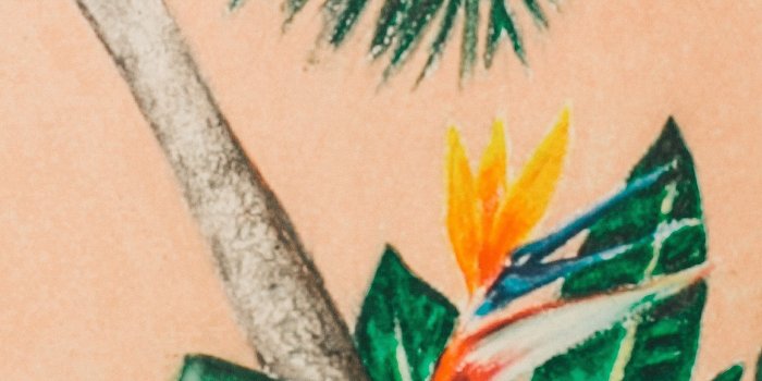 2640x3960 Melika Wall Mural, Green Tropical Palm Tree Wallpaper Decor