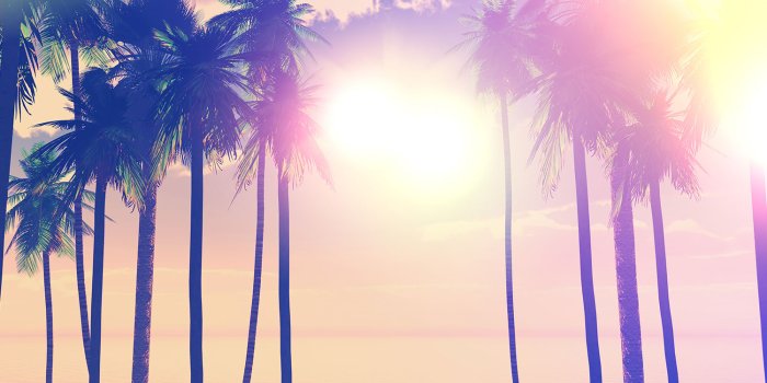 1500x1000 Print a Wallpaper