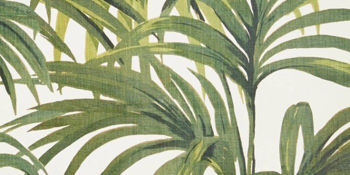 736x1104 Palm Leaf Print - GIRL FOR GRANTED