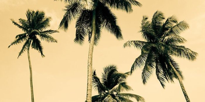 800x1200 Suga on Villa | Iphone wallpaper vintage, Iphone wallpaper